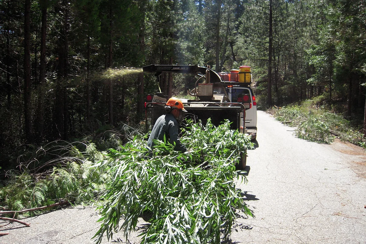 Roadside vegetation management crew used as representative land-maintenance photography